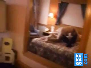 BULL INSEMINATES FERTILE WIFE