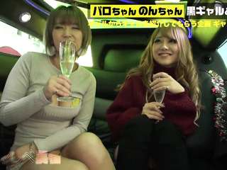 Pies Saddle tide super barrage