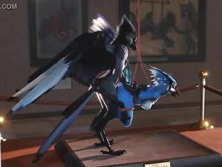 Yiff avian - ruaidri