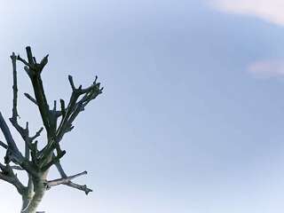 [SFM] NOVA SOMNIA 1+2