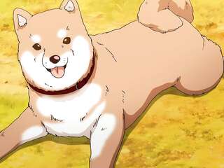 1LDK   JK Ikinari Doukyo Micchaku! Hatsu Ecchi!! - Vol 6