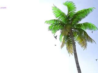 Natural 3D Cartoonxxx Beach Fuck with Aunt Cass - Exclusive Adult Video (English Subtitles)