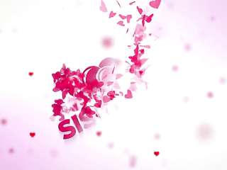 колледж Меган Холли