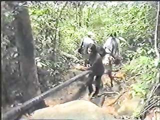 สวิงกิ้งทัวร์ - X